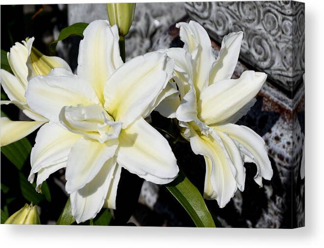 Oriental Lily Canvas Print featuring the photograph Flowers 794 by Joyce StJames