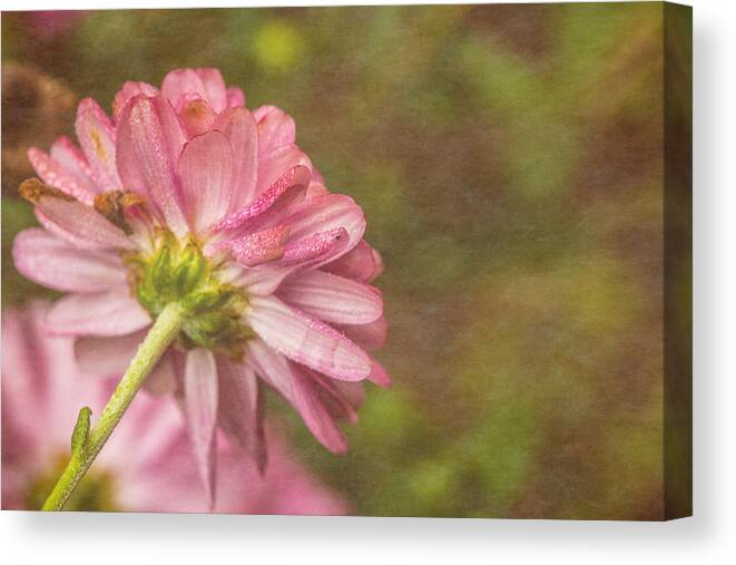 Flowery Canvas Print featuring the photograph Flowery by Karol Livote