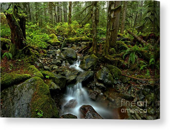Mt Baker Canvas Print featuring the photograph Flowing Through The Pacific Northwest by Adam Jewell