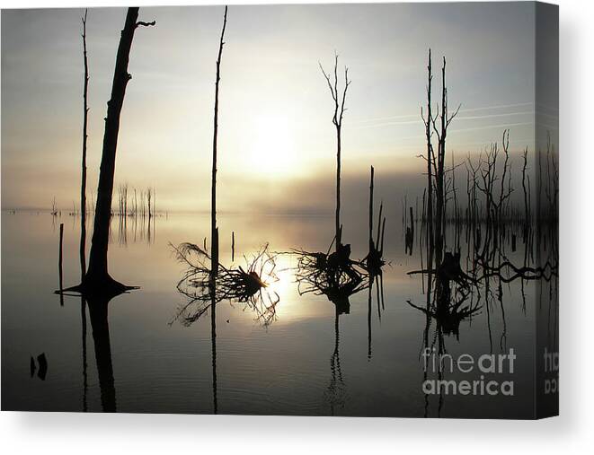 Sunrise Canvas Print featuring the photograph Fly in the Rise by Roger Becker