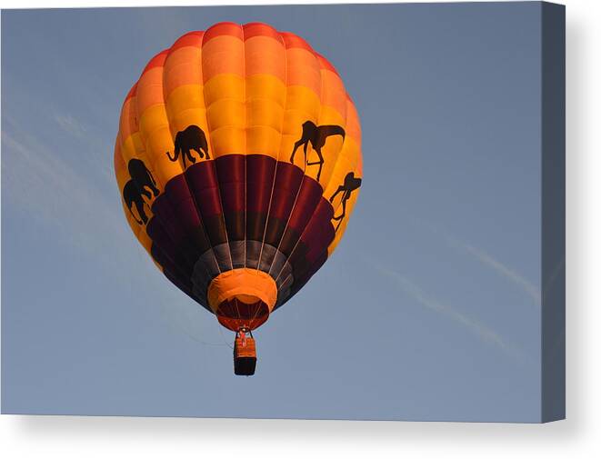 Balloons Canvas Print featuring the photograph Flying High by Charles HALL