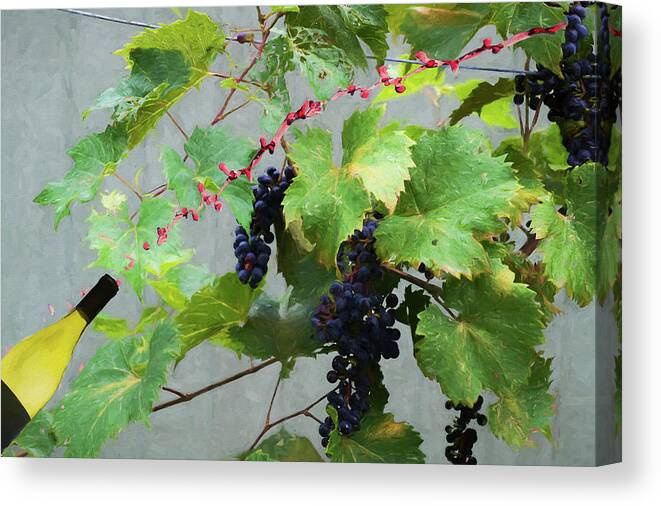 Grapes Canvas Print featuring the photograph Flying wine by Dan Friend