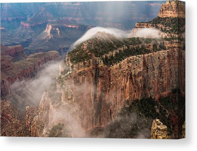 North Rim Grand Canyon Canvas Print featuring the photograph Fog Trail by Chuck Jason