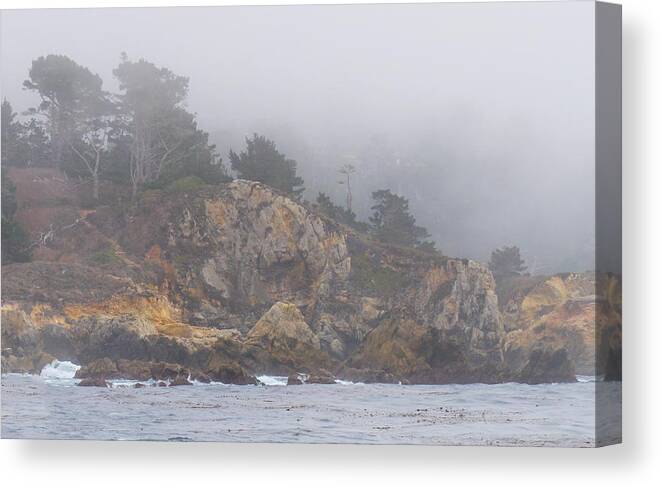 Fog Canvas Print featuring the photograph Foggy Day at Point Lobos by Derek Dean
