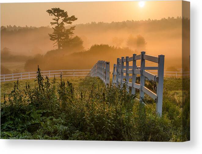 Maine Canvas Print featuring the photograph Foggy Fence by Paul Noble