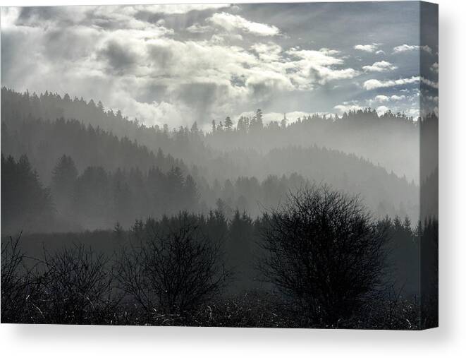 Landscape Canvas Print featuring the photograph Foggy Layers by Betty Depee