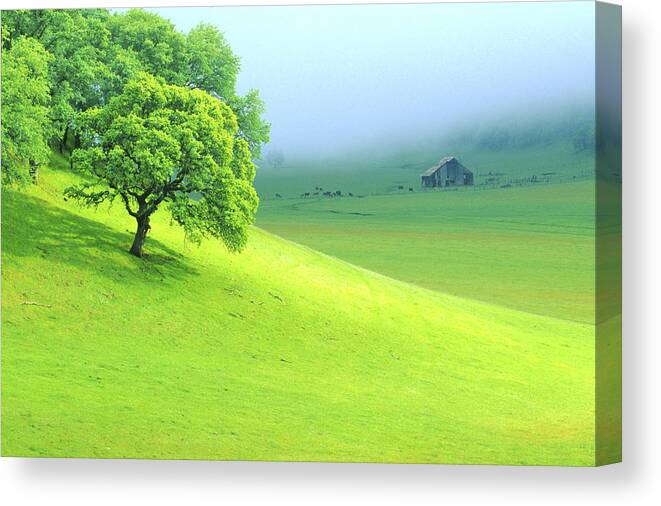Agriculture Canvas Print featuring the photograph Foggy morning in the Valley by Eggers Photography