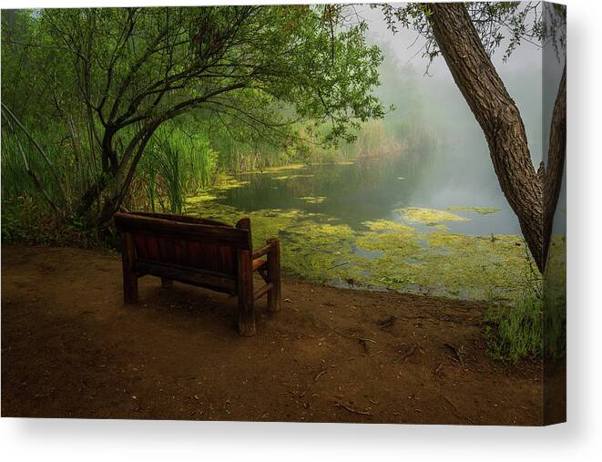 Fog Canvas Print featuring the photograph Foggy Morning on the Pond by Rick Strobaugh