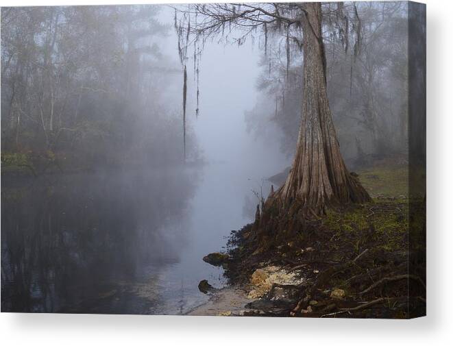 Foggy Morning Canvas Print featuring the photograph Foggy Morning by Warren Thompson