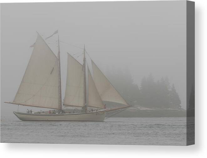 Maine Canvas Print featuring the photograph Foggy Windjammer by Colin Chase