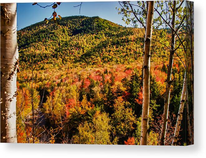 #fallfun Canvas Print featuring the photograph Foliage View from Crawford Notch road by Jeff Folger