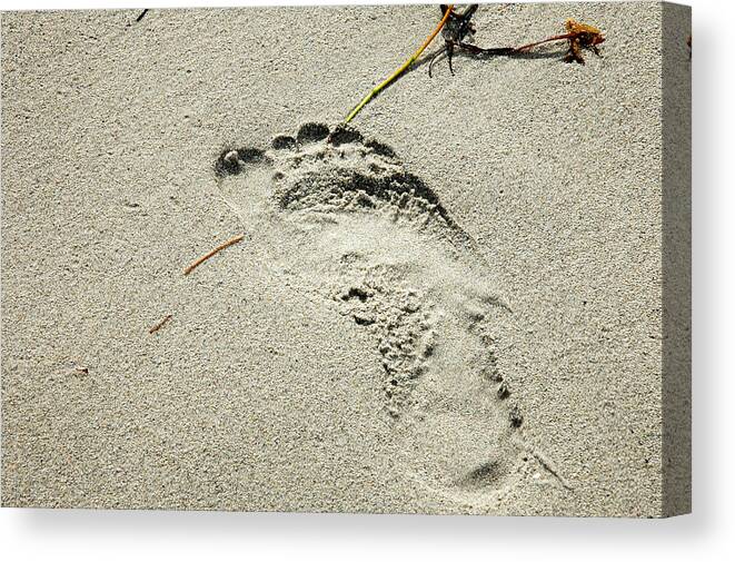 Footprint Canvas Print featuring the photograph Footprint in the Sand - South Beach Miami by Frank Mari