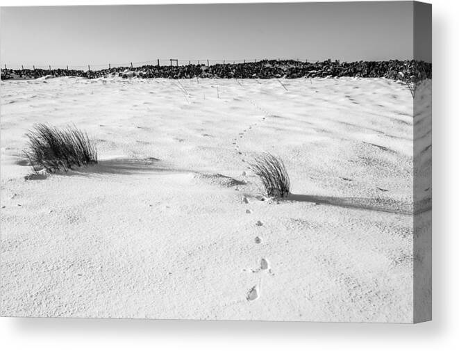 Snow Canvas Print featuring the photograph Footprints in the Snow i by Helen Jackson