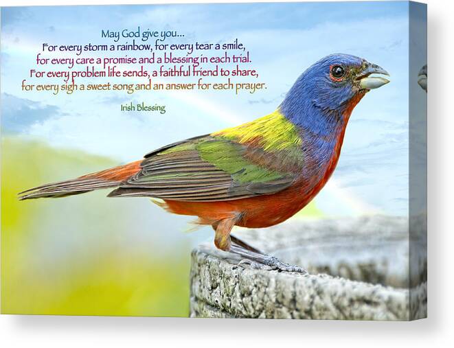 Painted Bunting Canvas Print featuring the photograph For Every Storm a Rainbow Irish Blessing by Bonnie Barry