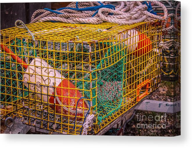 New England Canvas Print featuring the photograph For lobster lovers by Claudia M Photography
