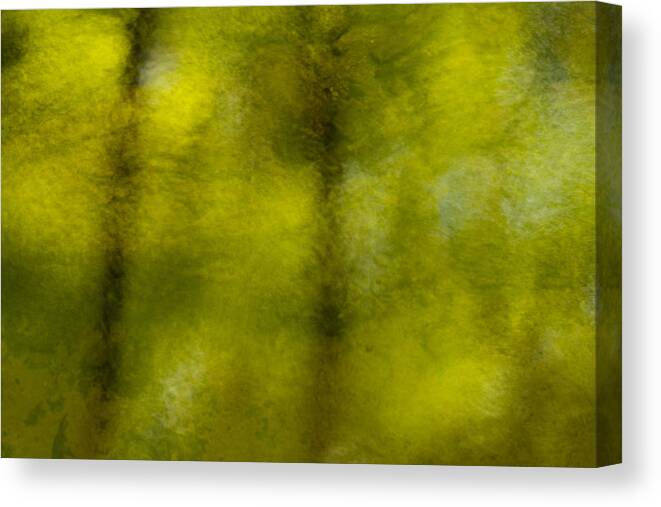 Abstract Canvas Print featuring the photograph Forest Abstract Reflection by Denise Bush