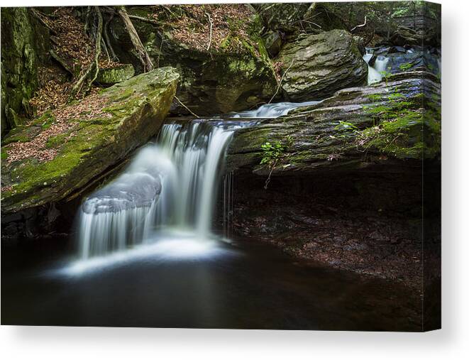 Amaizing Canvas Print featuring the photograph Forest Breeze by Edgars Erglis