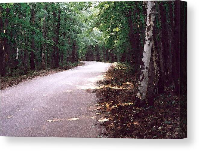 Forest Canvas Print featuring the photograph Forest in the Road WC 2 by Lyle Crump