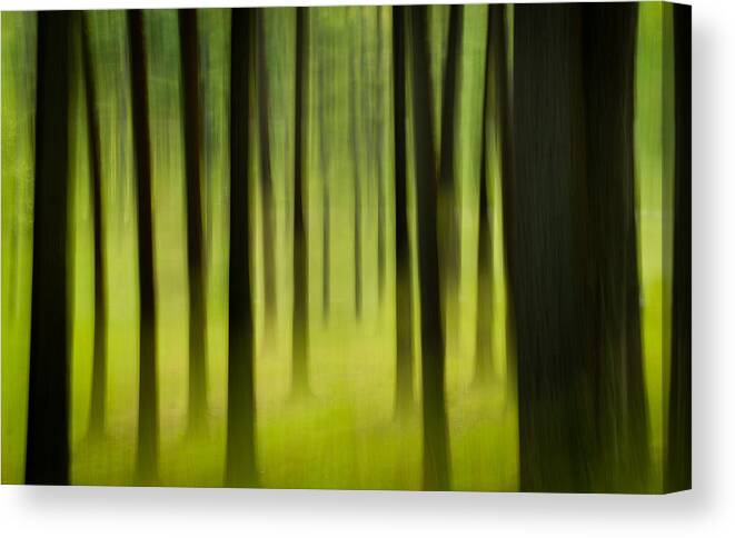 Landscape Canvas Print featuring the photograph Forest by Joye Ardyn Durham