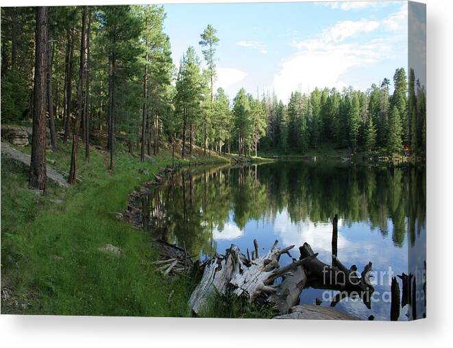 Lake Canvas Print featuring the photograph Forest Lake by Julie Lueders 