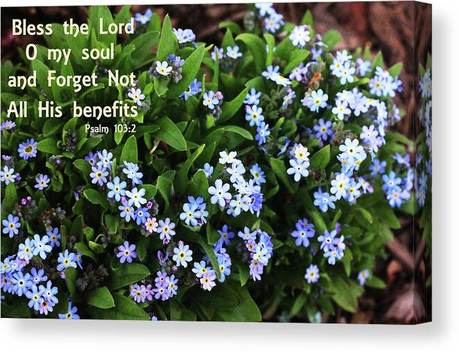 Floral Canvas Print featuring the photograph Forget not All His Benefits by Trina Ansel