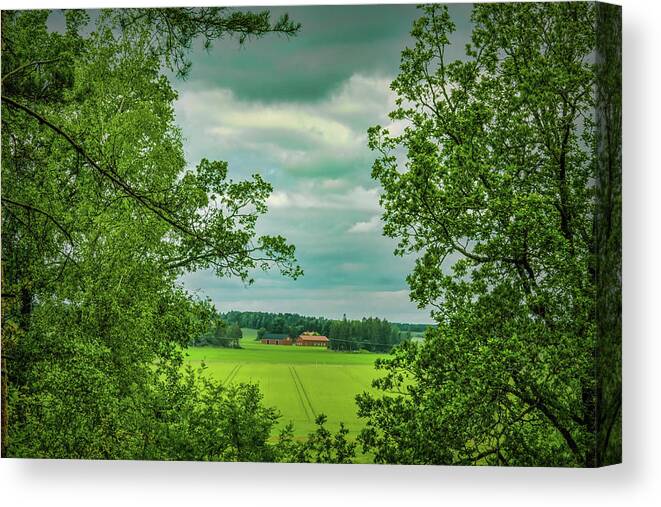 View Canvas Print featuring the photograph Framed view #h6 by Leif Sohlman