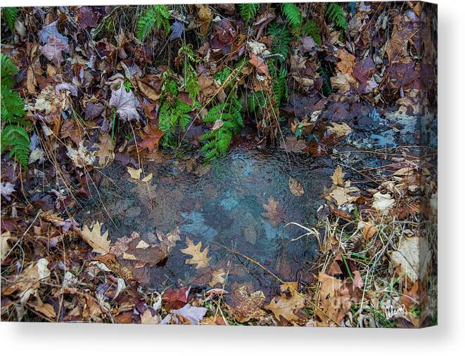 December Canvas Print featuring the photograph Freezing by Alana Ranney