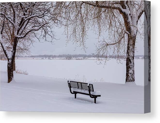 Snow Canvas Print featuring the photograph Fresh Fallen Snow by James BO Insogna