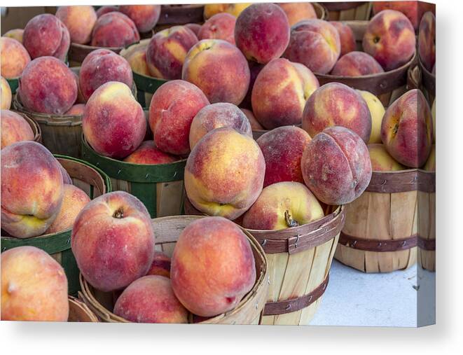 Colorado Peaches Canvas Print featuring the photograph Fresh Peaches at the Market by Teri Virbickis