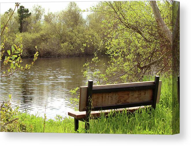 Oceano Canvas Print featuring the photograph Front Row Seat by Art Block Collections