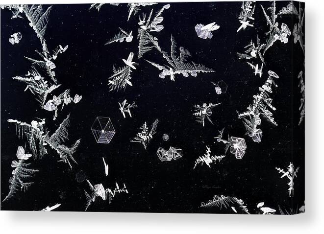 Beautiful Photos Canvas Print featuring the photograph Frost on Car Window 1 by Roger Snyder