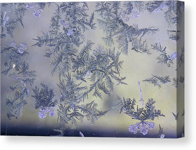 Frost Macro Canvas Print featuring the photograph Frost Series 2 by Mike Eingle