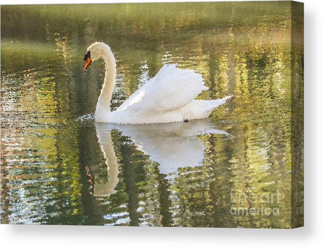 Swan Canvas Print featuring the photograph Frosted Swan by Geraldine DeBoer