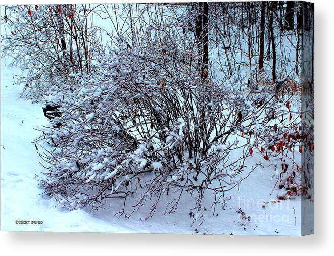 Bush Canvas Print featuring the painting Frozen Bush by Corey Ford