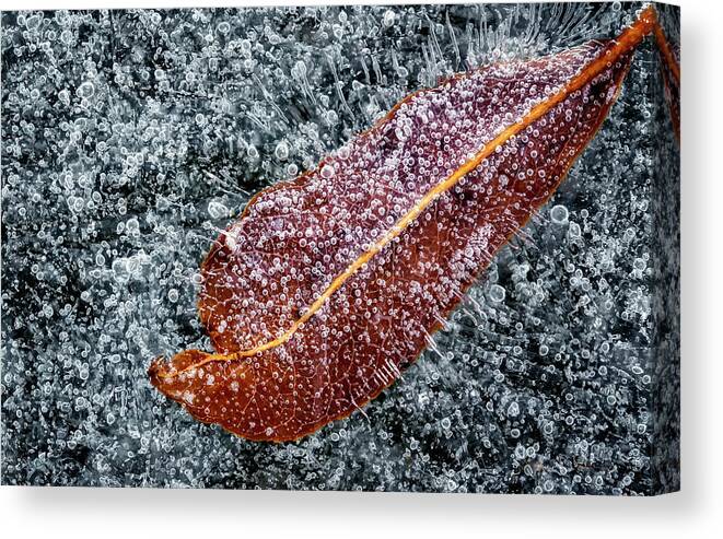 Ice Canvas Print featuring the photograph Frozen in Time by Steve Sullivan