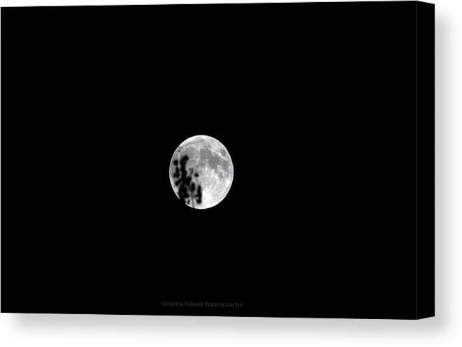 Moon Canvas Print featuring the photograph Full by Becca Wilcox