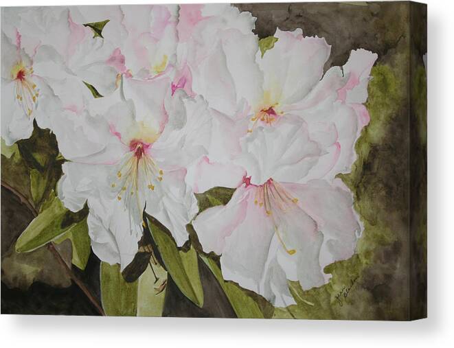Flowers Canvas Print featuring the painting Full Bloom by Jean Blackmer
