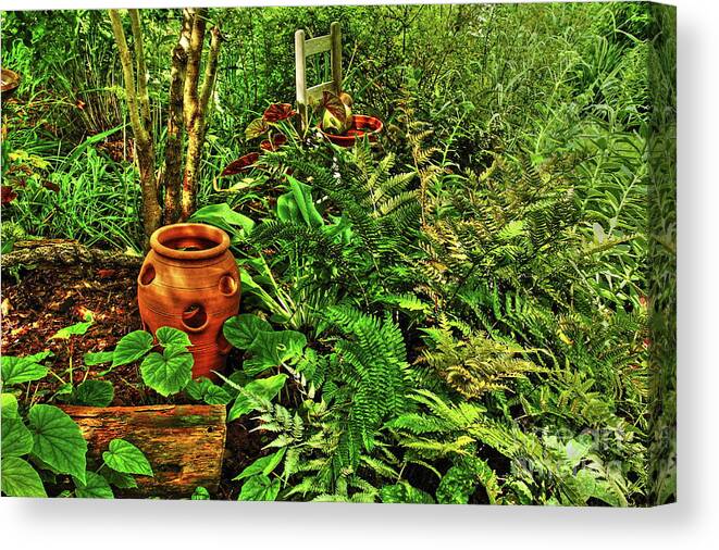 Ferns Canvas Print featuring the photograph Fully Present by Allen Nice-Webb