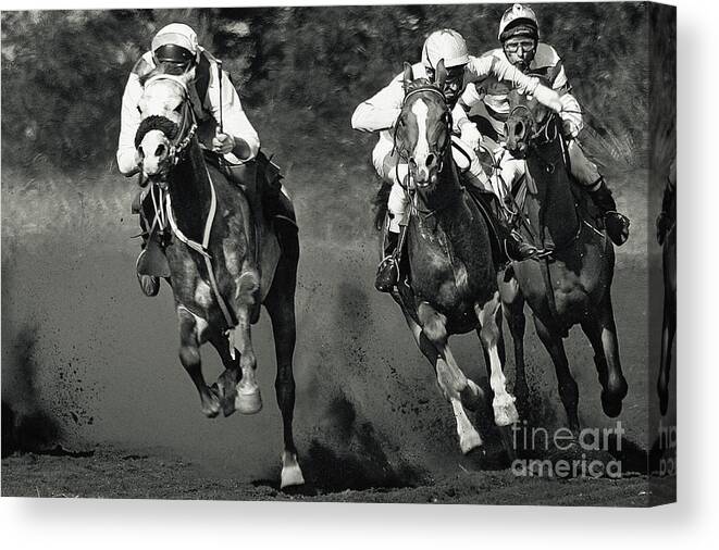 Horse Canvas Print featuring the photograph Gambling Horses by Dimitar Hristov