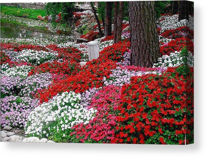 Flowers Canvas Print featuring the photograph Garden Among Trees by Jeanette Oberholtzer
