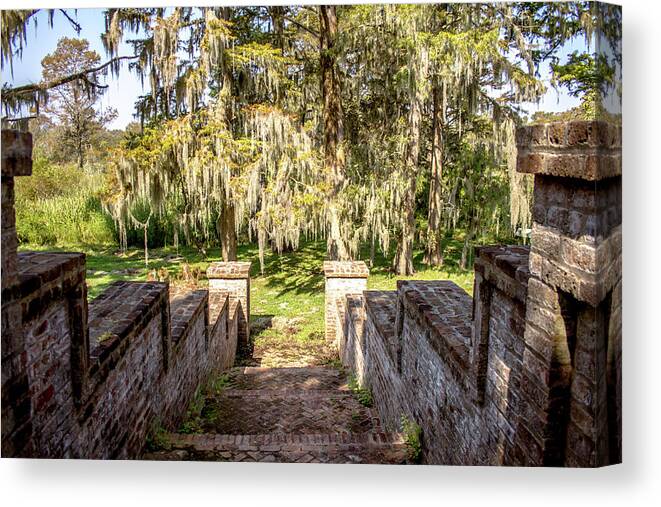 2017 Canvas Print featuring the photograph Garden entry by Darrell Foster