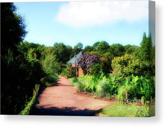 Garden Canvas Print featuring the photograph Garden Of Glory by Kathy Baccari