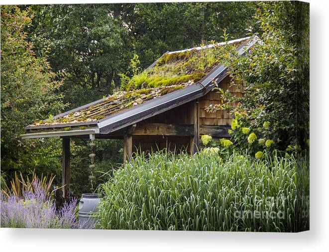 Shed Canvas Print featuring the photograph Garden Shed by Allen Nice-Webb