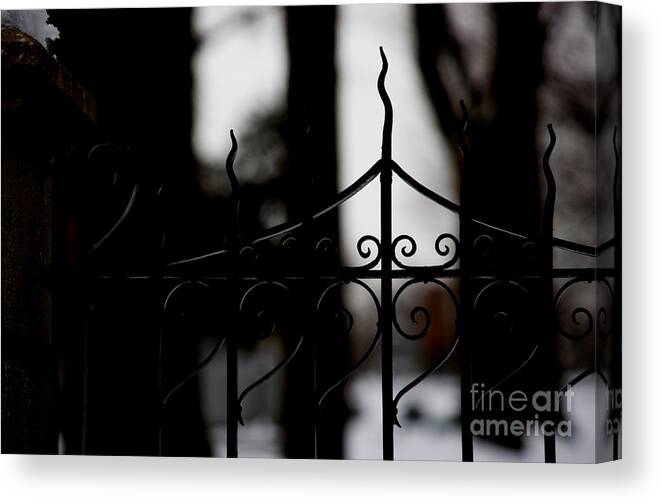 Wrought Iron Canvas Print featuring the photograph Gated Woods by Linda Shafer