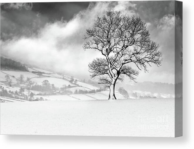 Contemporary Monochrome Canvas Print featuring the photograph Gathering Storm by Janet Burdon