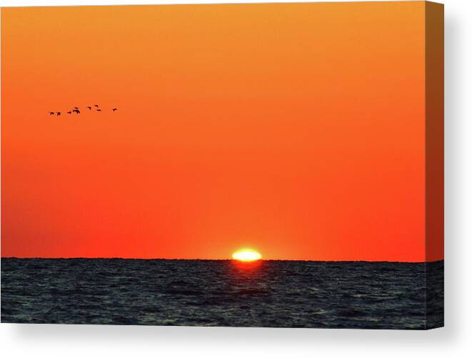Abstract Canvas Print featuring the photograph Geese Flying In The Morning by Lyle Crump