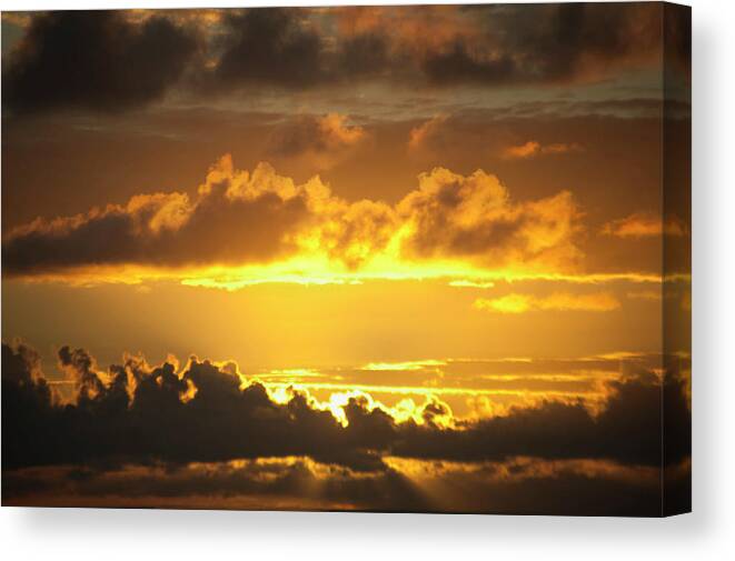 Rising Sun Canvas Print featuring the photograph Genesis by Adele Aron Greenspun