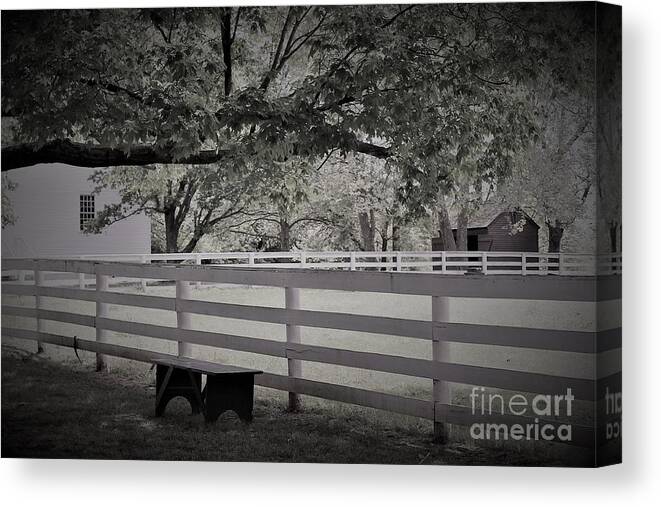 Gentle Country Day Black And White Canvas Print featuring the photograph Gentle Country Day Black and White by Carol Riddle