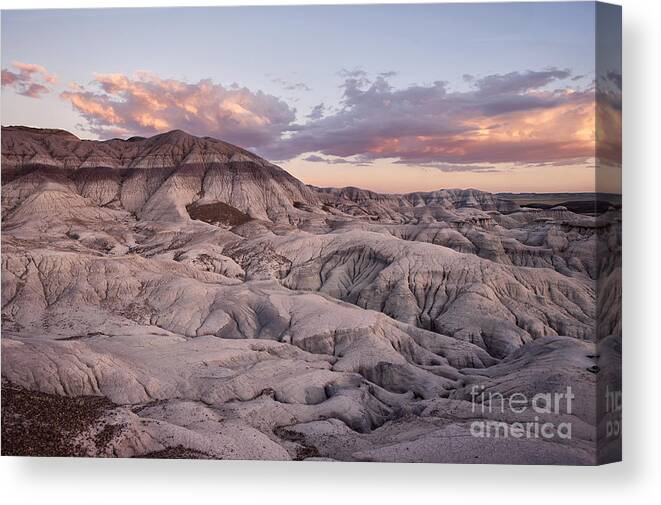 Petrified Forest Canvas Print featuring the photograph Geology Lesson by Melany Sarafis