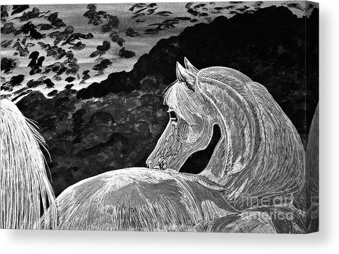 Print Canvas Print featuring the digital art Ghost Horse in Black and white by Barbara Donovan